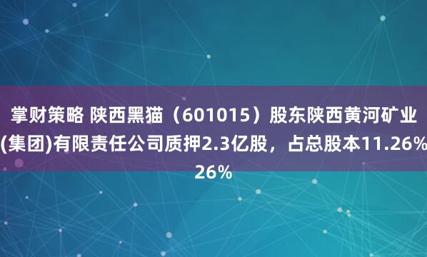 掌财策略 陕西黑猫（601015）股东陕西黄河矿业(集团)有限责任公司质押2.3亿股，占总股本11.26%
